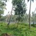 Soma Home in Kodungallur city