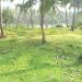 Soma Home in Kodungallur city