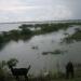 Bahour Lake, Pondicherry State