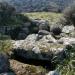 Nuraghe et Tombe des géants de Frades Contones