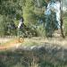 Parkes BMX Park