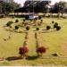 Oval Ground - ISM in Dhanbad city