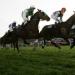 Weidenpesch Racecourse in Cologne city