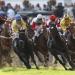 Weidenpesch Racecourse in Cologne city
