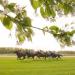 Weidenpesch Racecourse in Cologne city