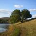 Yanivske reservoir