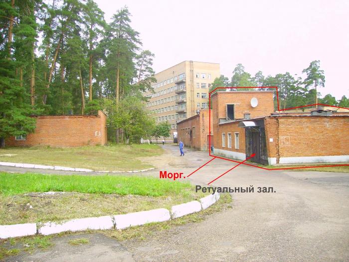 Поликлиника на лизюкова воронеж запись