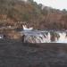 Perunthenaruvi Water Falls