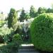 Botanical Garden in Uzhhorod city