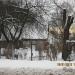 ул. Сеску, 86 в городе Рига