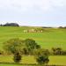 West Kennet Long Barrow