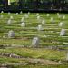 Soviet Military Cemetery in Warsaw in Warsaw city