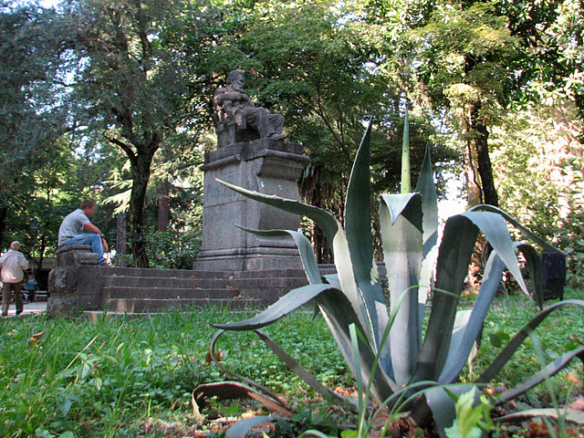 Central Park - Kutaisi - The Green Area Is Central Park