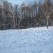 Беседка для пикников в городе Москва