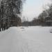 Два островка на Третьем Путяевском пруду в городе Москва