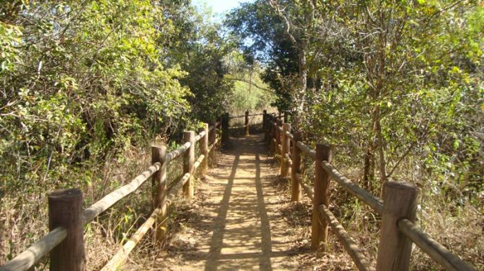 Parque Nacional de Brasília (Água Mineral) - Brasília/DF