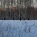 Футбольное поле в городе Москва