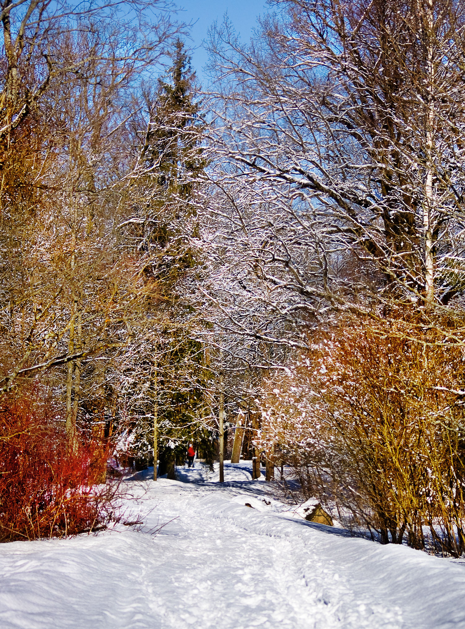 Alexander Park Saint Petersburg