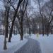 Петровский парк в городе Москва