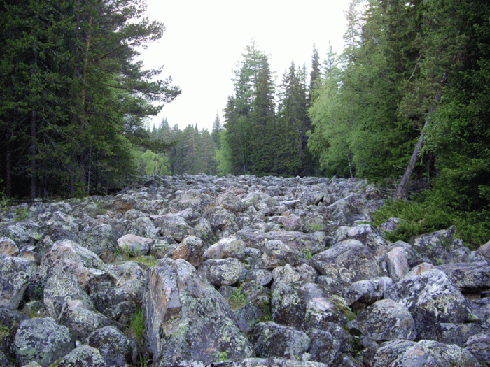 Каменная река курумник