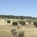 Nullarbor National Park