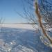 Деревенская ул., 14 в городе Сертолово