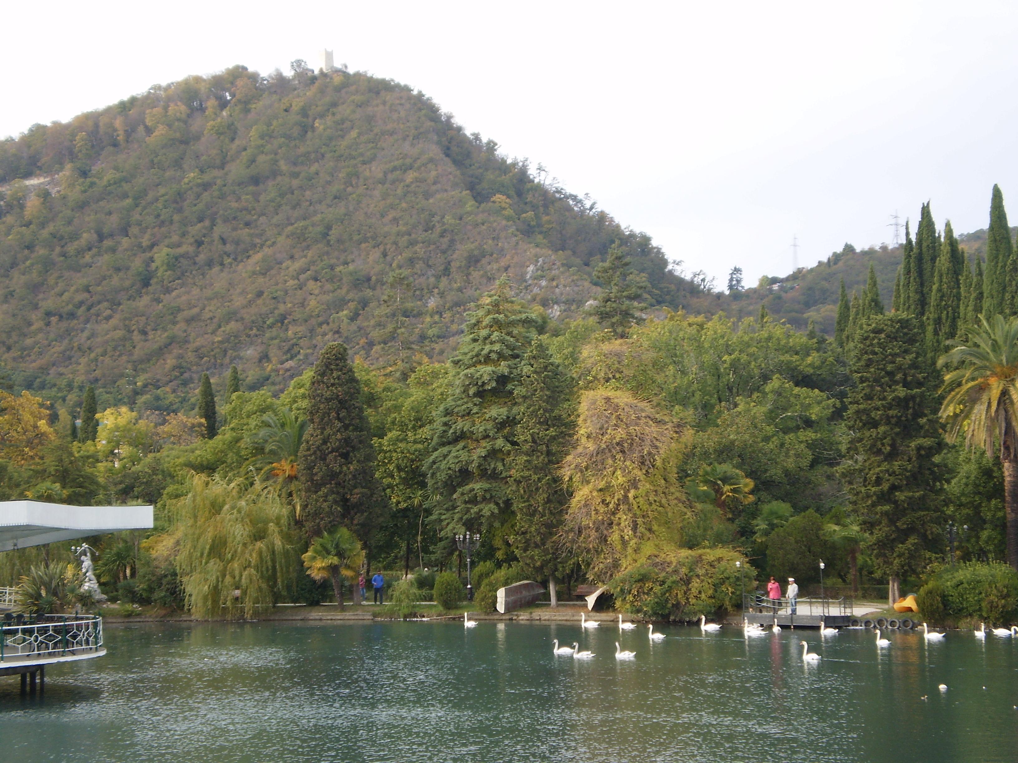Swan Lake - New Athos