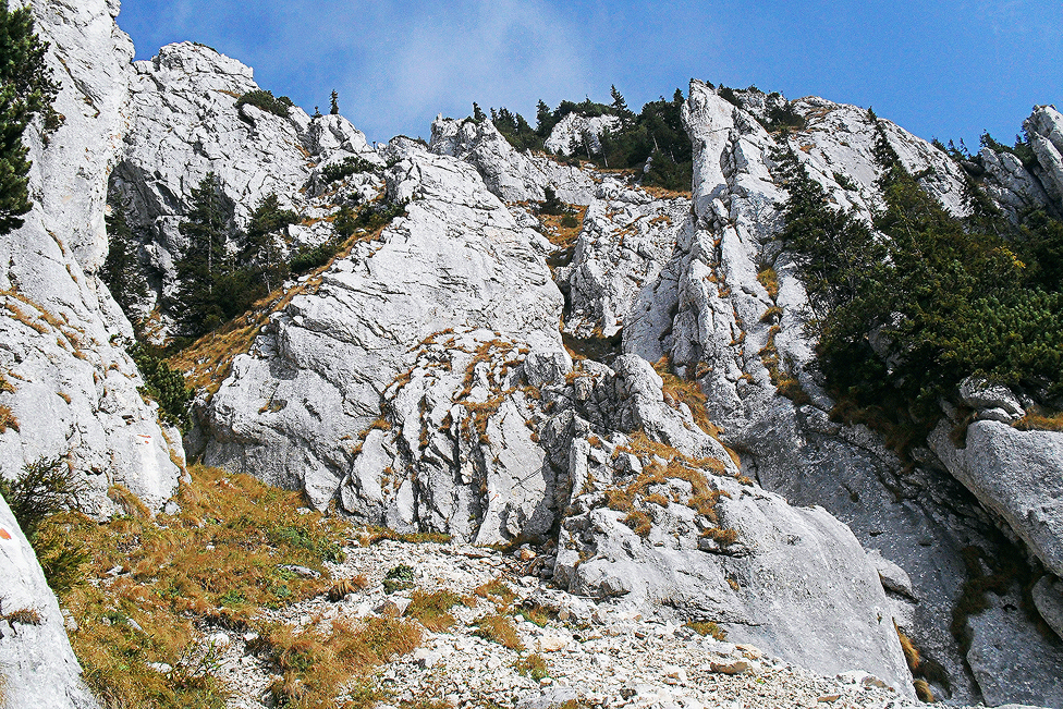 Piatra CraiuluiGebirge Wald, Forst, massiv, Grünanlage