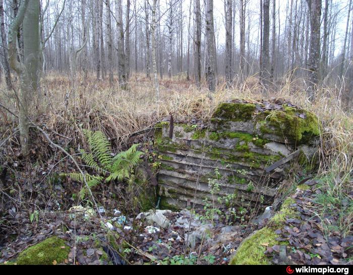 Немецкий ДОТ DM-25