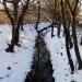 Открытое русло Карачаровского ручья (ручья Фрезер) в городе Москва