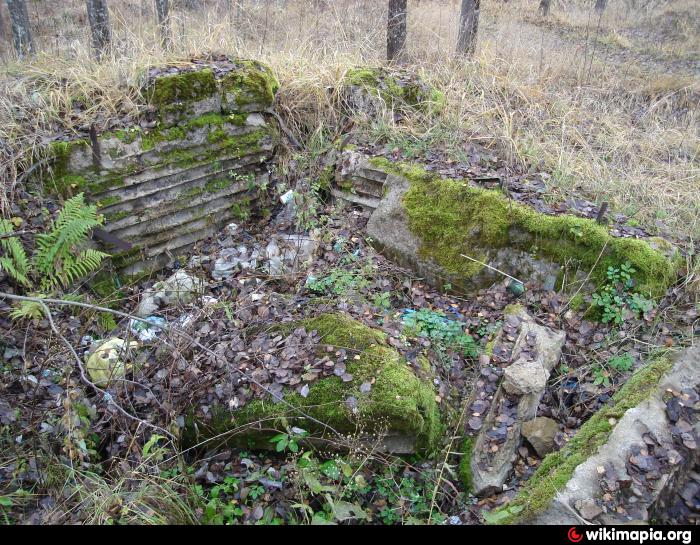 Немецкий ДОТ DM-25