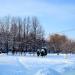 Бульвар Победы в городе Рязань