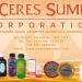 Ceres Summit Corporation in Cebu City city