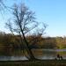 Staw Kajakowy (pl) in Warsaw city