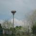 Пивень в городе Печенеги