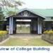 Dhing College