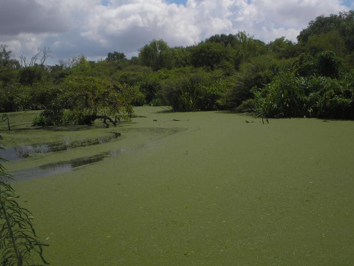 Parque Natural Municipal Ribera Norte 7600