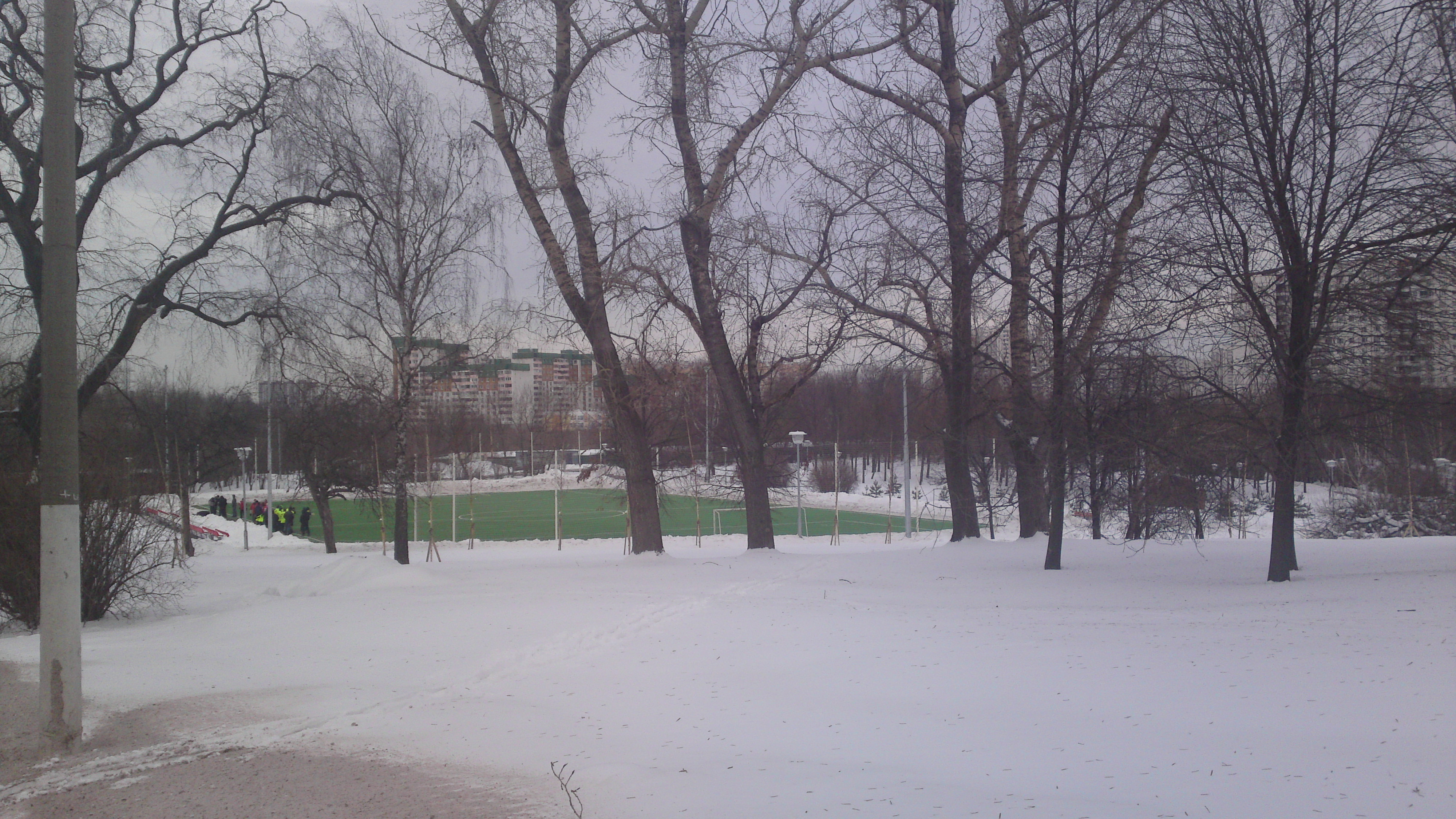 Реалспорт арена москва улица городянка фото