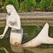 Small pond with Mermaid Sculpture