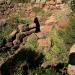 Nuraghe Sa Linnarta o Osana