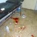حديقة جامع الجيلاني  في حي باباعمرو (en) في ميدنة مدينة حمص 