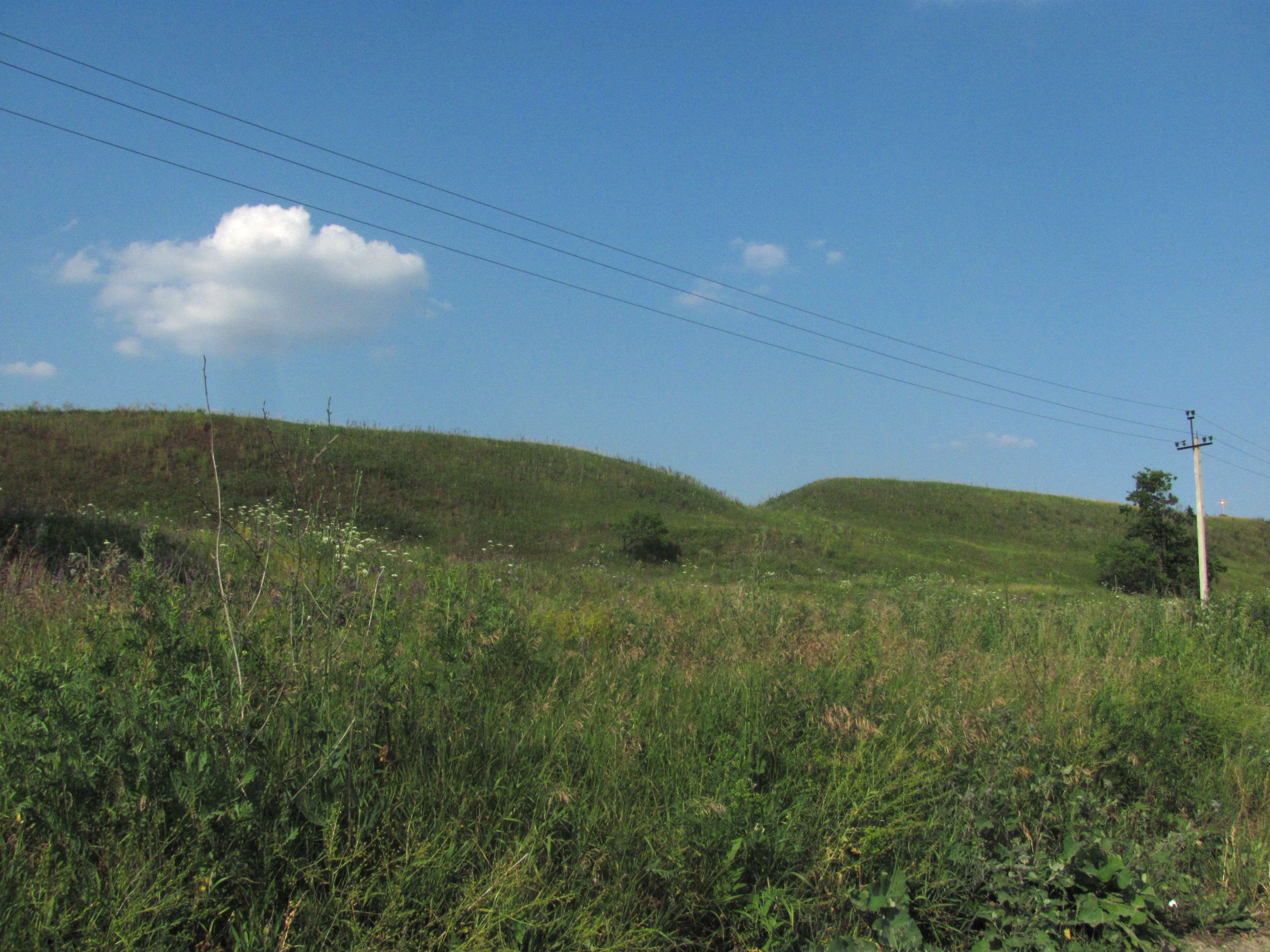 Городище Старая Кашира (Младшее Каширское городище)