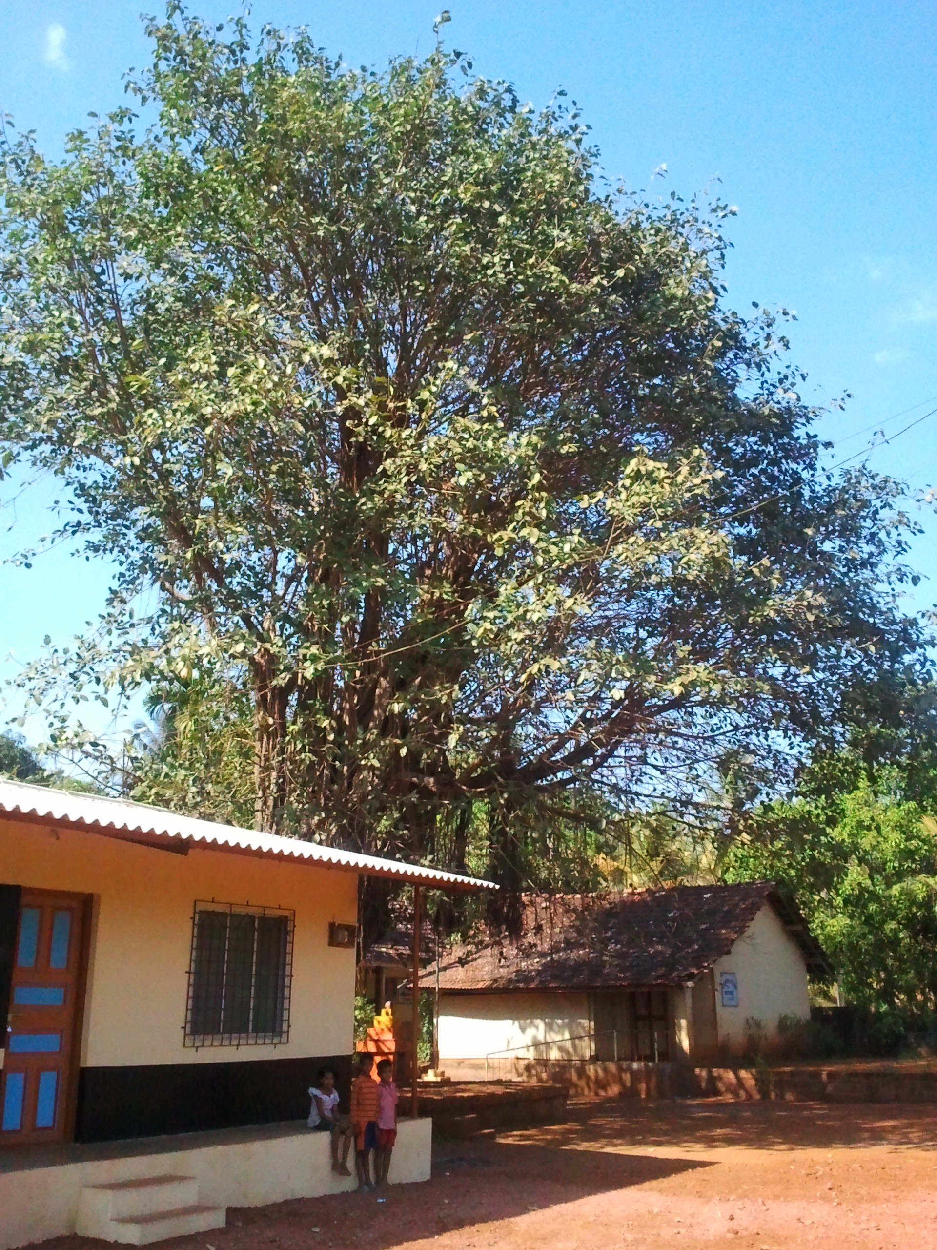 marathi school