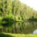 4th pond on Biryulyovsky stream