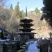 Three-Storied Octagonal Pagoda