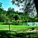 Lago do Parque do Carmo (pt) in São Paulo city