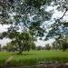 kawasan kebon pelok (id) in Kota Cirebon city