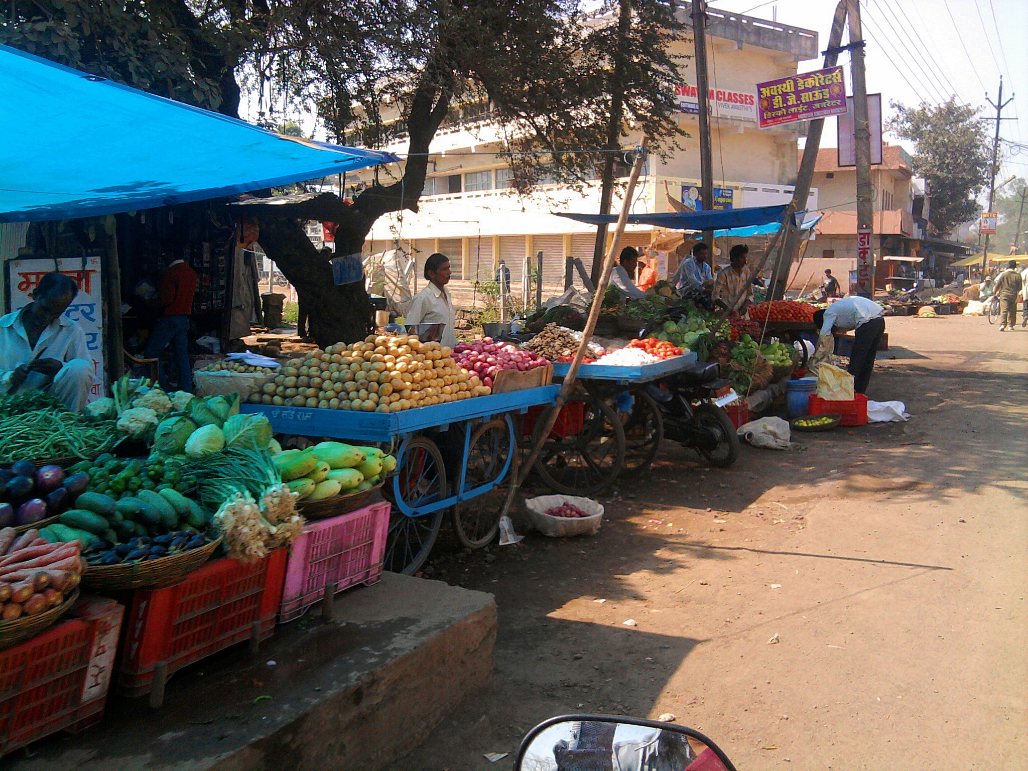 Yadav Colony Jabalpur