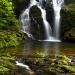 Parque Nacional de Superagüi (Área II)