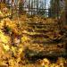 Stone stairs